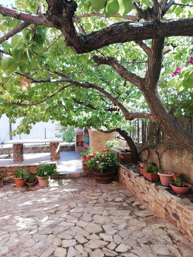 Le Ginestre * La Caletta