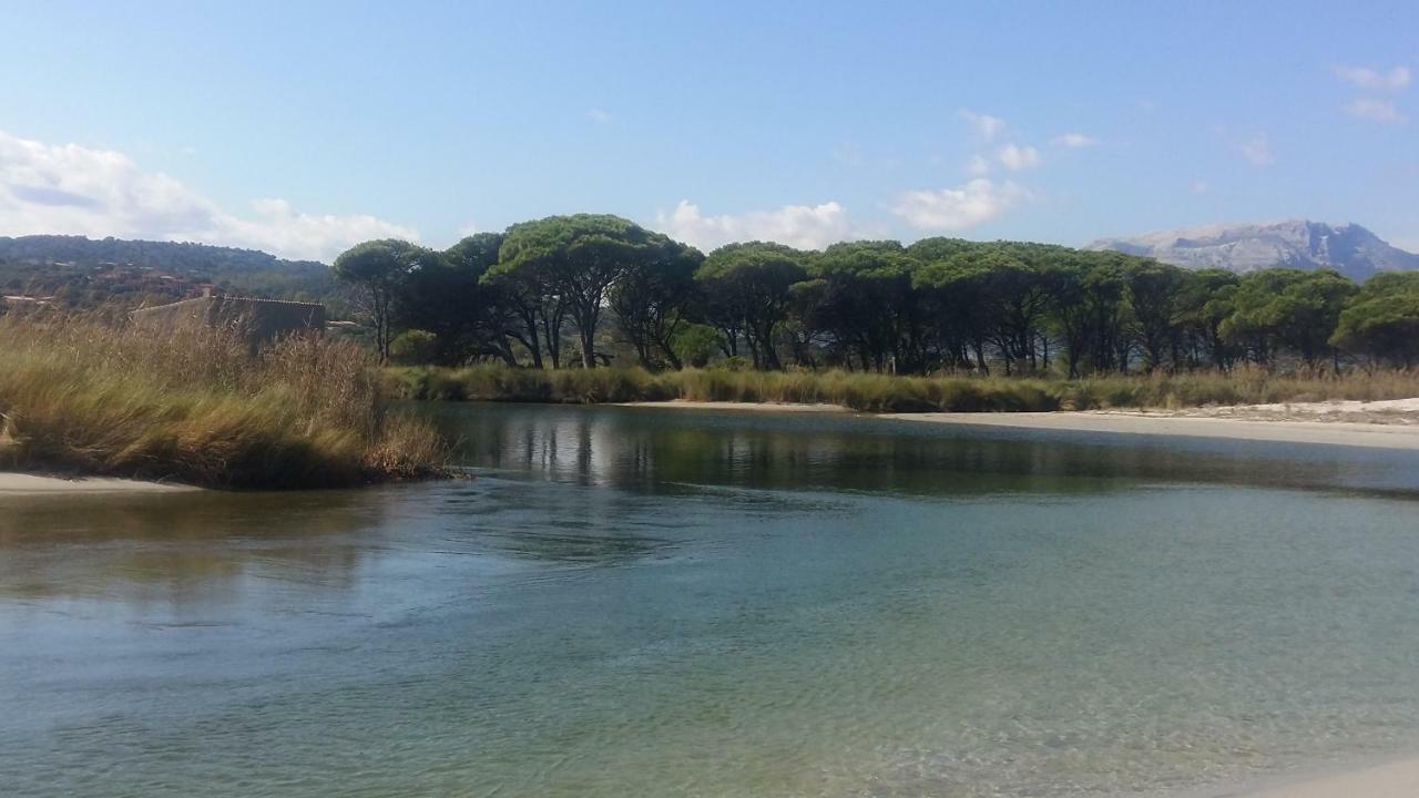 Holiday home Villa Le Ginestre La Caletta